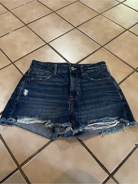 American Eagle Outfitters Dark Indigo Distressed Denim Shorts